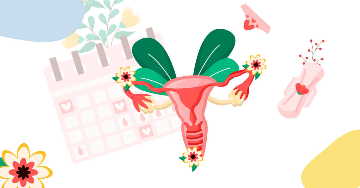 Plantas y ciclo menstrual,DESCUBRIENDO EL PODER DE LA NATURALEZA EN VICALA
